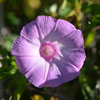Hello 10-15-25