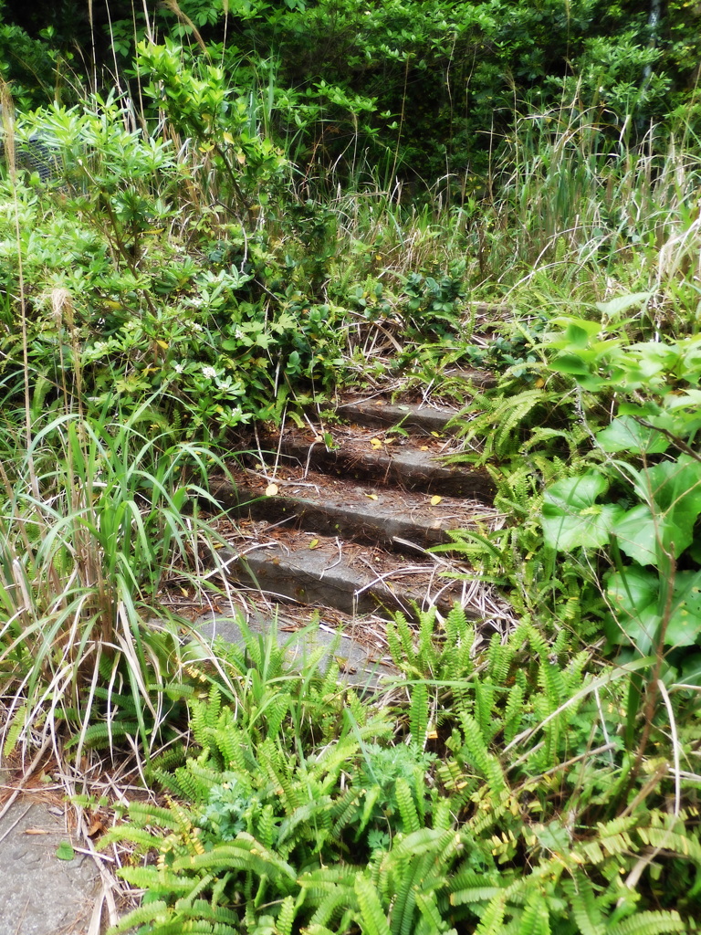 064 沈みゆく階段 2024-4-17