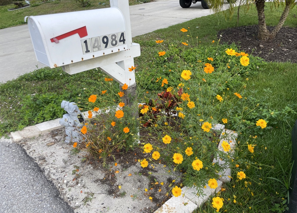 Mailbox 3-9-24