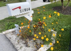 Mailbox 3-9-24