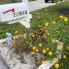 Mailbox 3-9-24