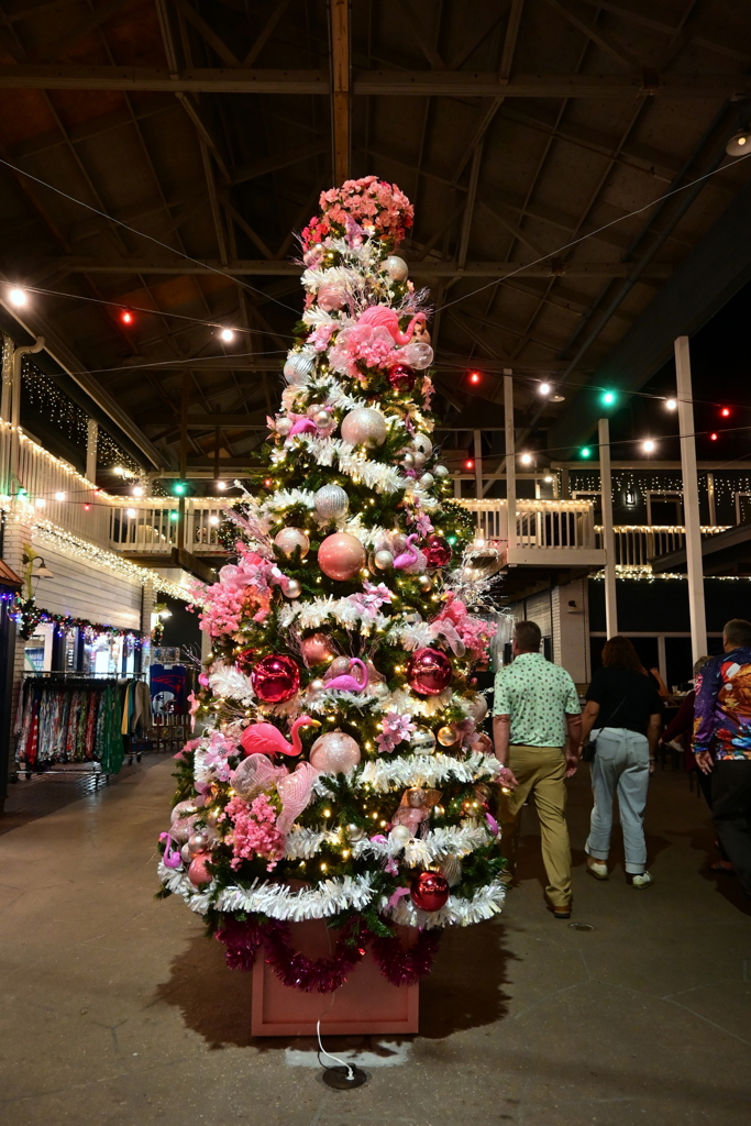 The Pink Tree 12-6-25