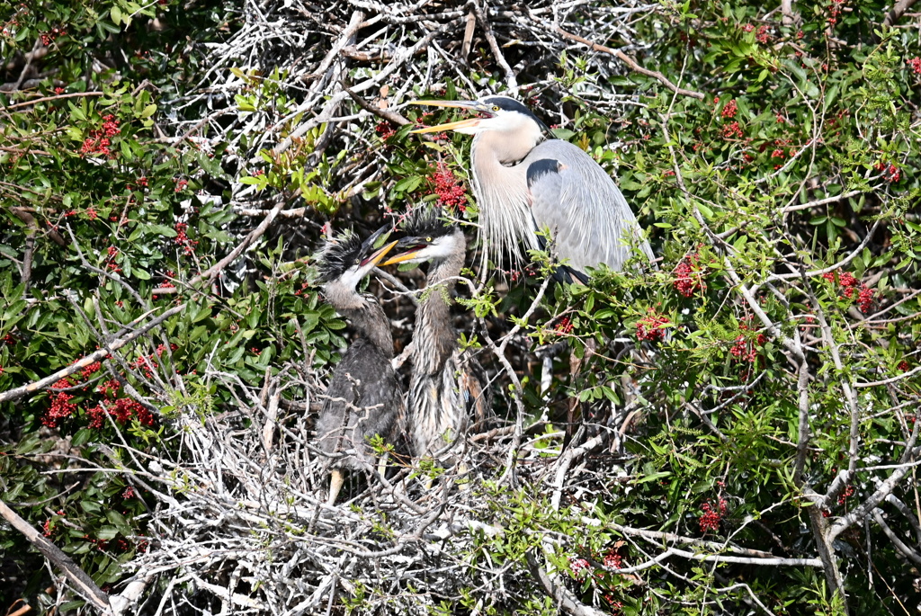 いいかげんにしなさい　1-30-26