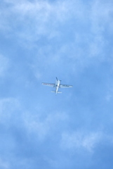 Aarron Deliu 16  11-2-25