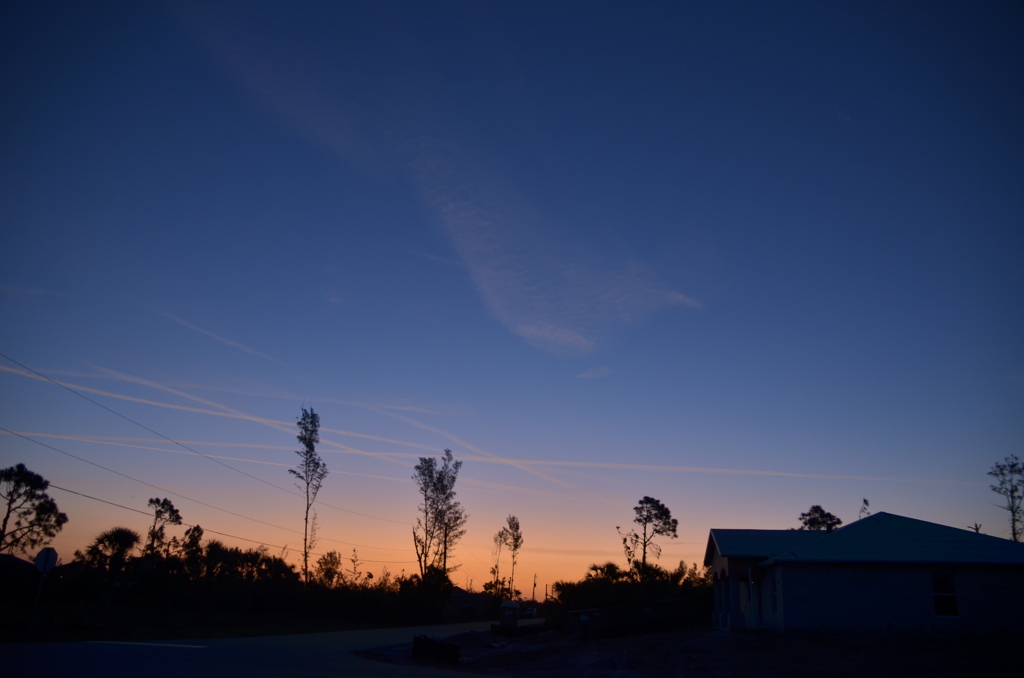 Dawn I 4-5-23