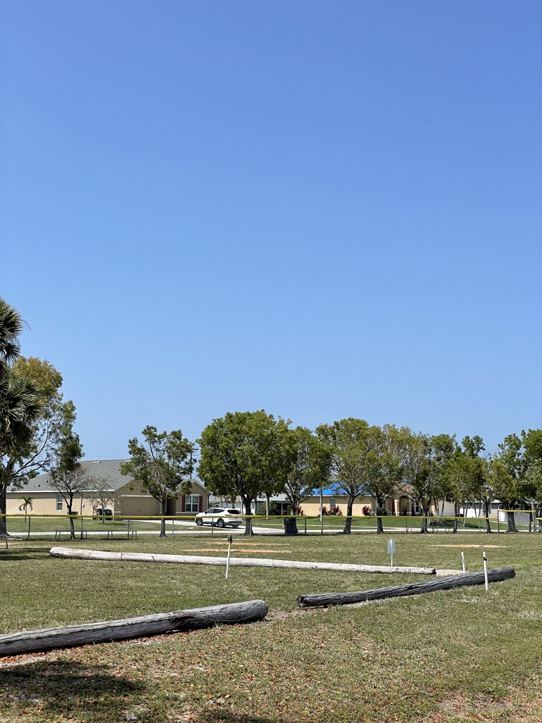 Koza-Saldino Park Nesting Site III 4-27-