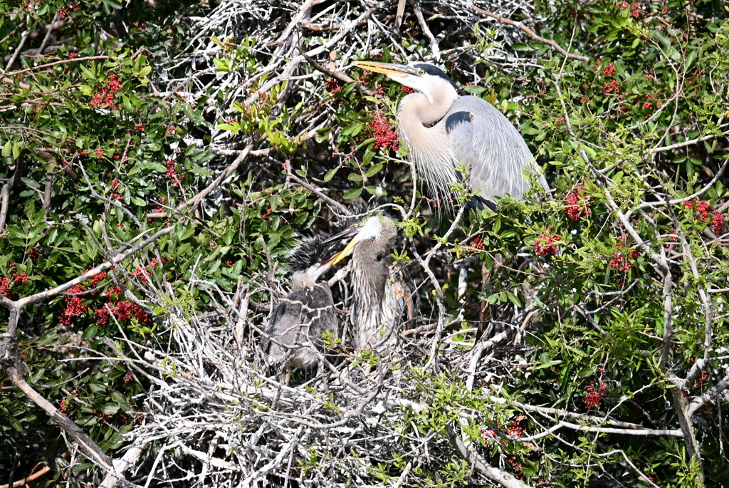 やつあたり　1-30-26
