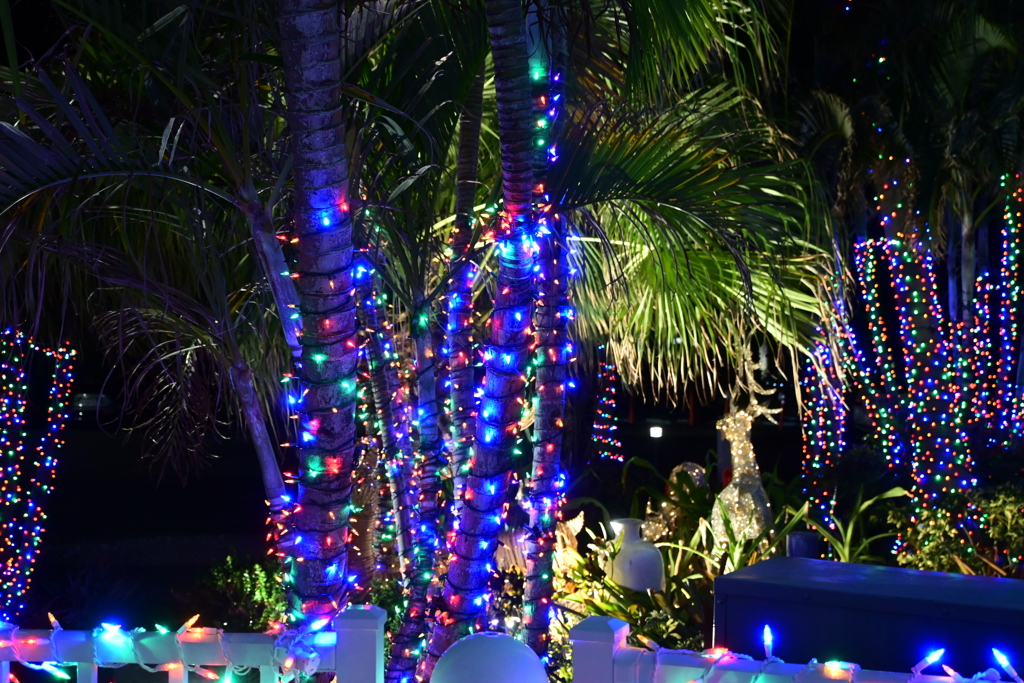 Christmas Lights 12-12-24
