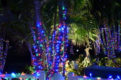 Christmas Lights 12-12-24