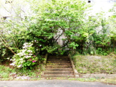 014 立ちはだかる 2024-4-17