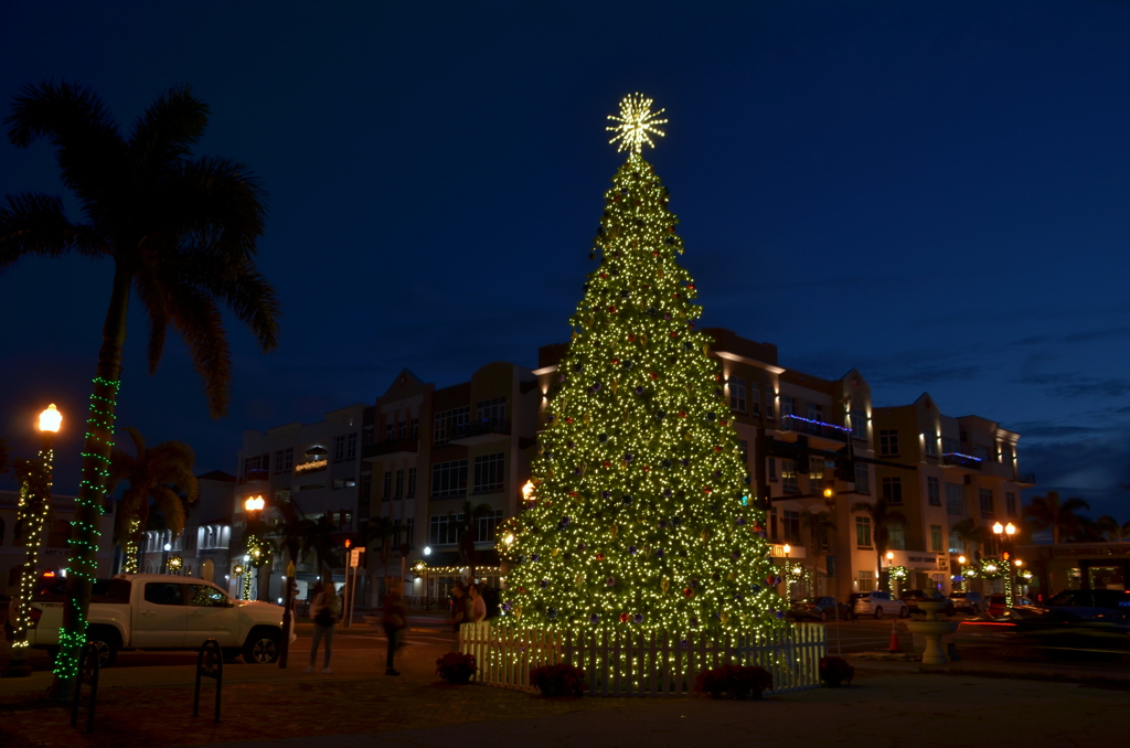 Punta Gorda Christmas Tree V 12-7-23