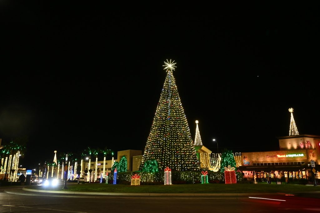 Warm Night 11-28-24