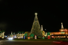 Warm Night 11-28-24