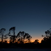 Dusk I 10-7-22