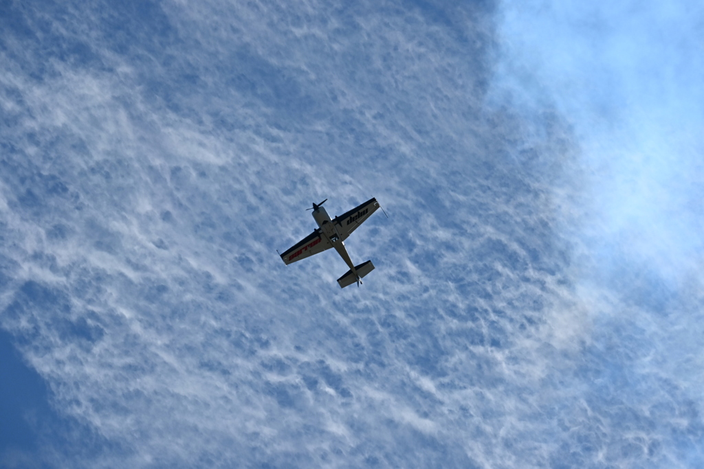 Aarron Deliu 05  11-2-25