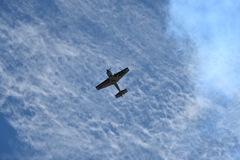 Aarron Deliu 05  11-2-25