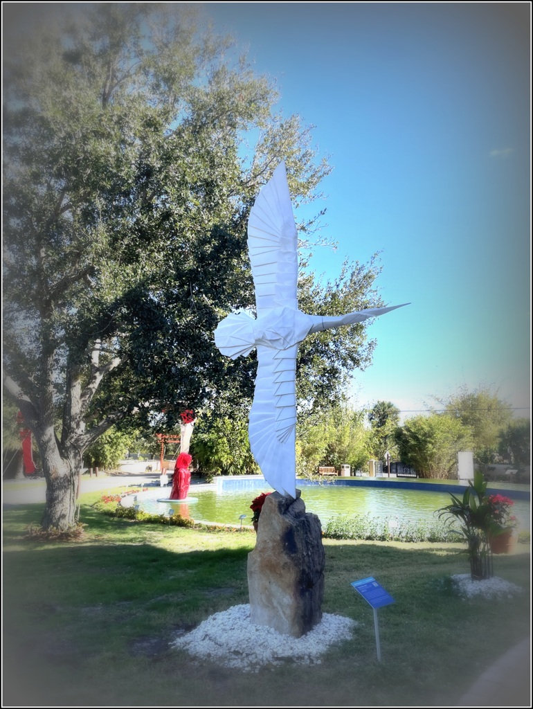 Flying Peace 12-16-25