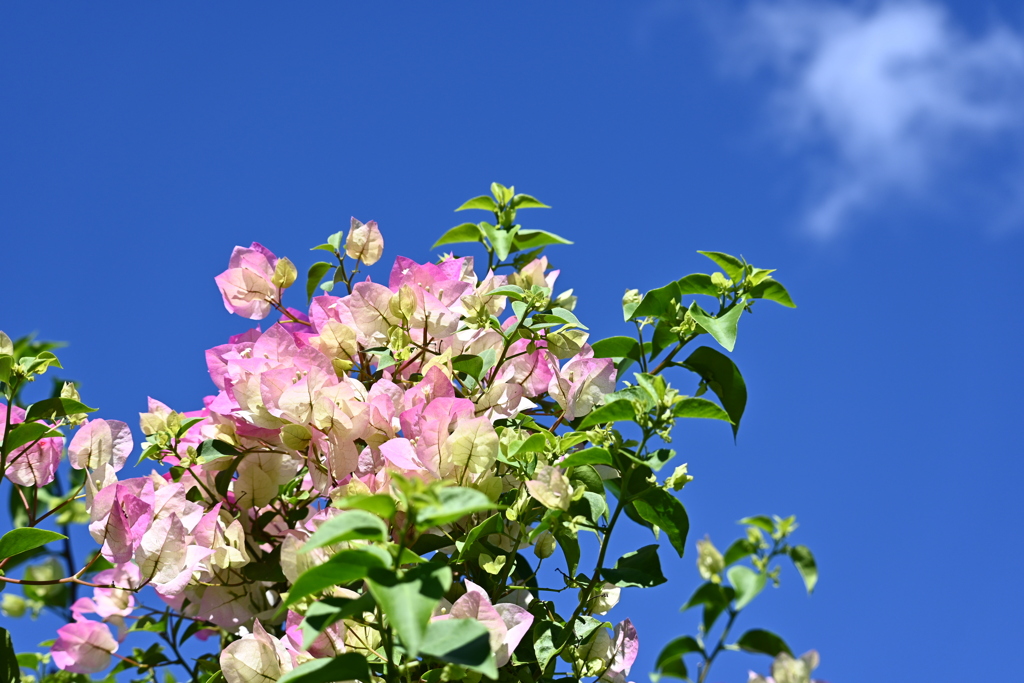 Reach for the Sky 12-16-25