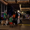 That Dog was Watching Me 12-7-21