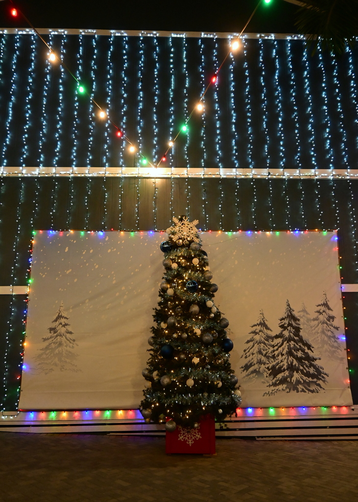 Winter Scene 12-6-25