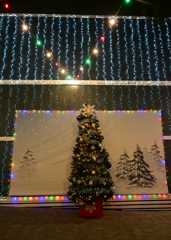 Winter Scene 12-6-25