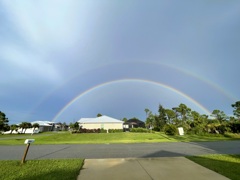While it's Raining 8-19-25