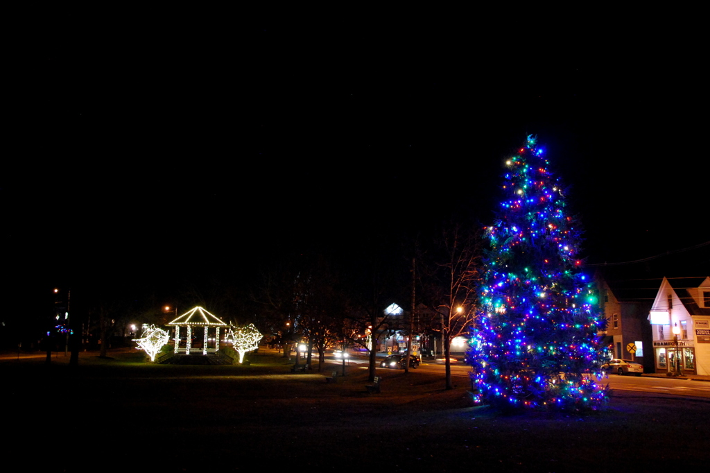 Christmas Tree in Brunswick 12-6-15