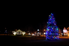 Christmas Tree in Brunswick 12-6-15
