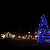 Christmas Tree in Brunswick 12-6-15