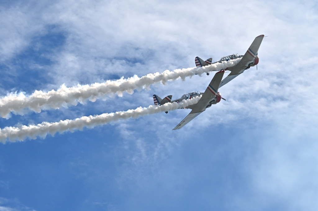 Warbird Thunder #1 22  11-2-25