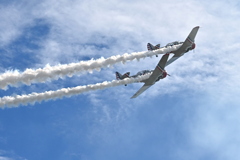 Warbird Thunder #1 22  11-2-25