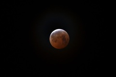 0336 Totality Ended 3-14-25
