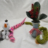 Setting My Studio 12-26-24