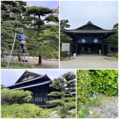 高松松平家　披雲閣　2024-4-15