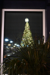 Punta Gorda in the Window 12-6-25