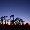 Dusk I 12-5-22