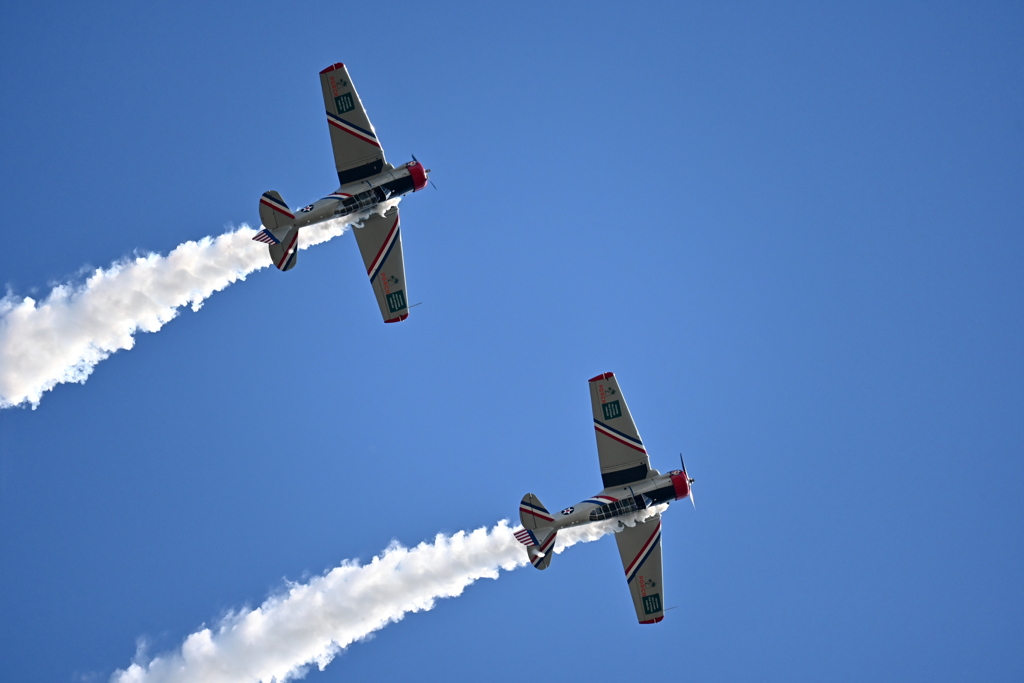 Warbird Thunder #1 09  11-2-25