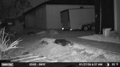 半月のうさぎ　1-27-26