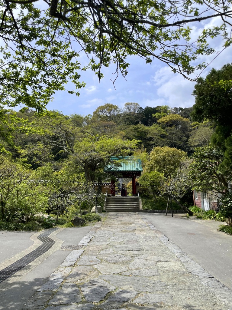 光則寺　2024-4-11