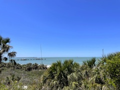 The Gulf of Whatever 3-26-25