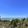 The Gulf of Whatever 3-26-25