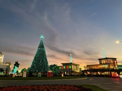 UTC Roundabout 11-28-24