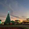 UTC Roundabout 11-28-24