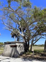 Banyan and Data Booth 3-26-25