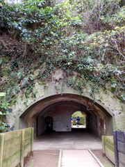 ラピュタなトンネルは2の出口　2024-4-13