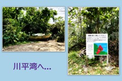 川平湾のビーチへ　2024-4-20