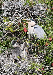 びびって黙る　1-30-26