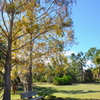 A Bench 11-29-23