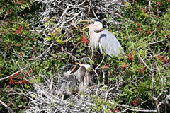 そんなに怒らなくても　1-30-26