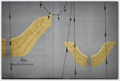 Angels in Town 5-29-25